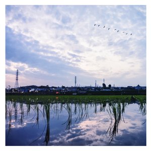 裸体女子全身人妖
